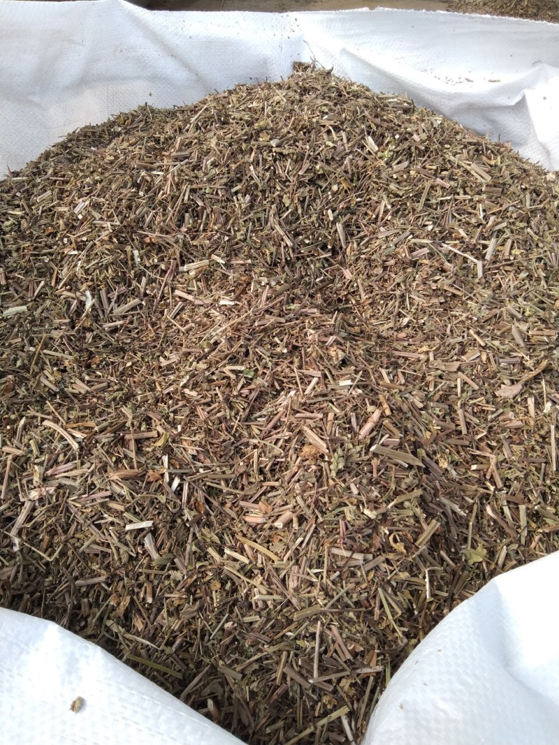 马鞭草产地直供支持线上交易可搭配多品种采购大货联系