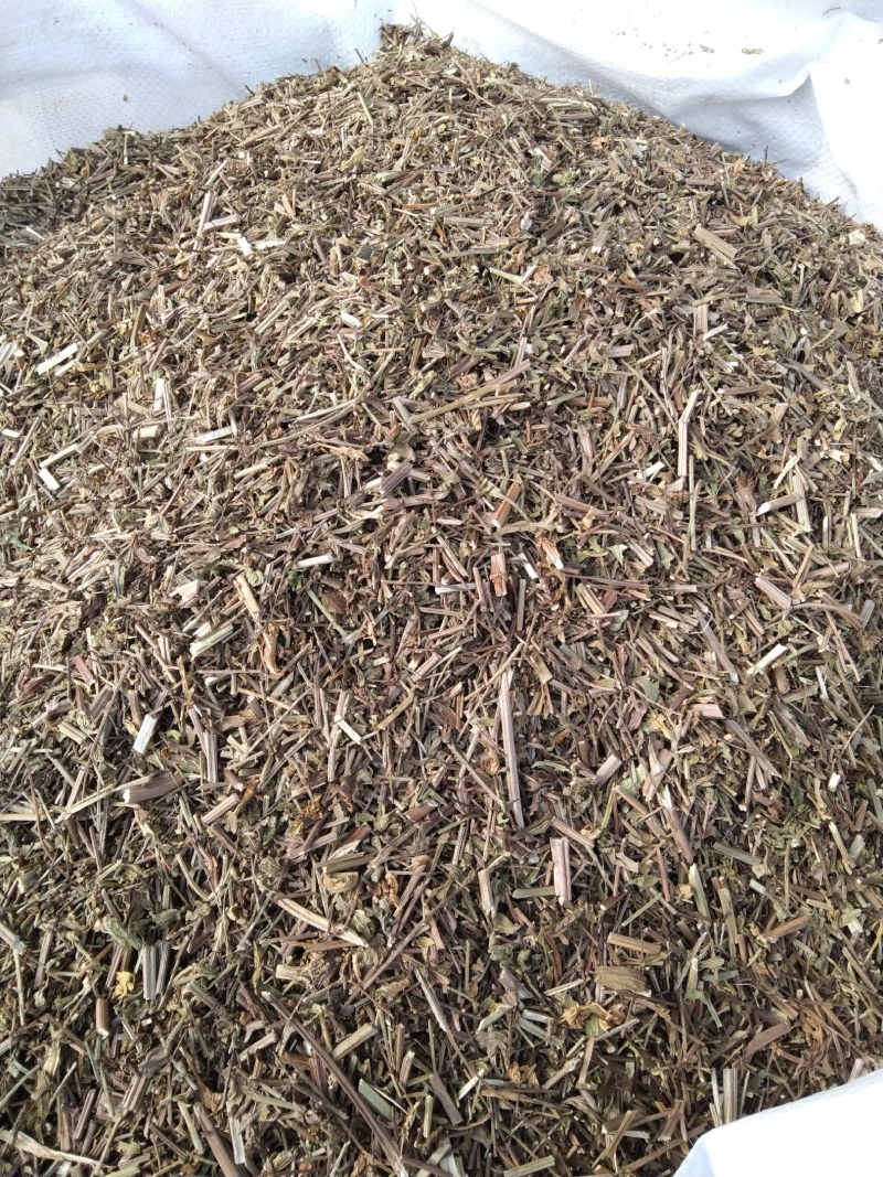 马鞭草产地直供支持线上交易可搭配多品种采购大货联系