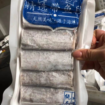 带鱼段本地海捕小眼带鱼视频看货质量保障等您来电