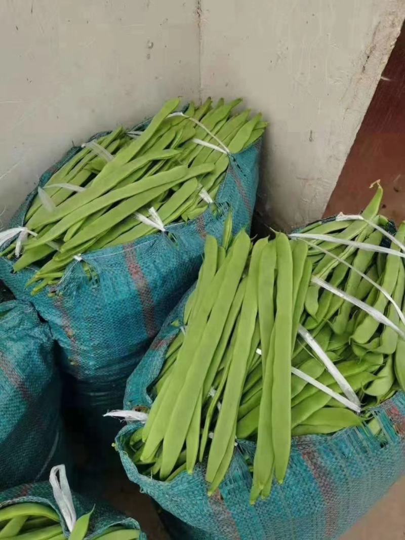 云南保山昌宁精品扁豆上市了！货源充足，质量上乘。优质产区