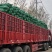 绿禾蔬菜万亩基地精品扁包奥奇娜市场货、加工厂货大量供应