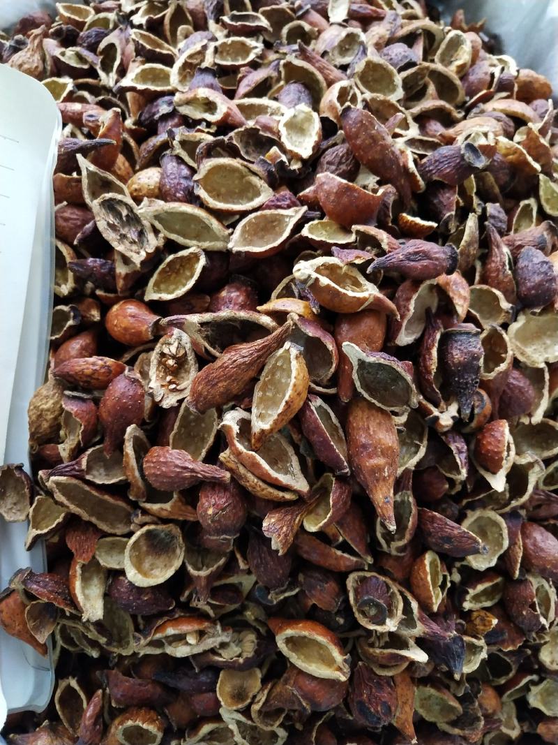 中药材金樱肉，去籽金英子肉，批发，零售，产地发货