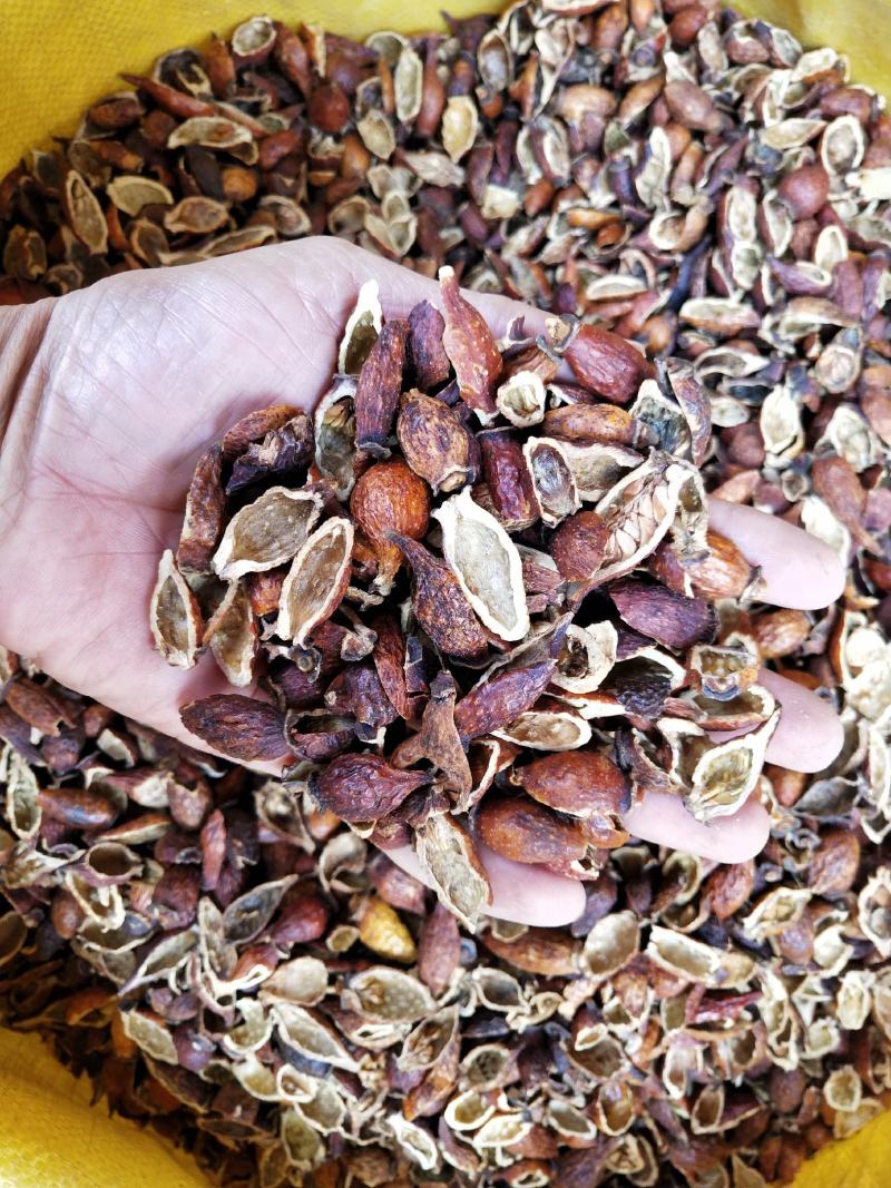 中药材金樱肉，去籽金英子肉，批发，零售，产地发货