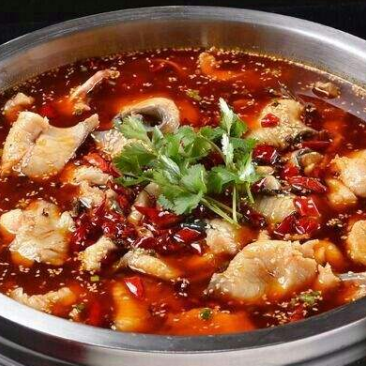 麻辣鲜香水煮鱼青花椒麻辣鱼调料180克亏本特促