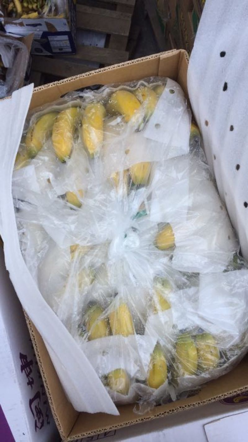 进口蕉，水蕉，菲律宾