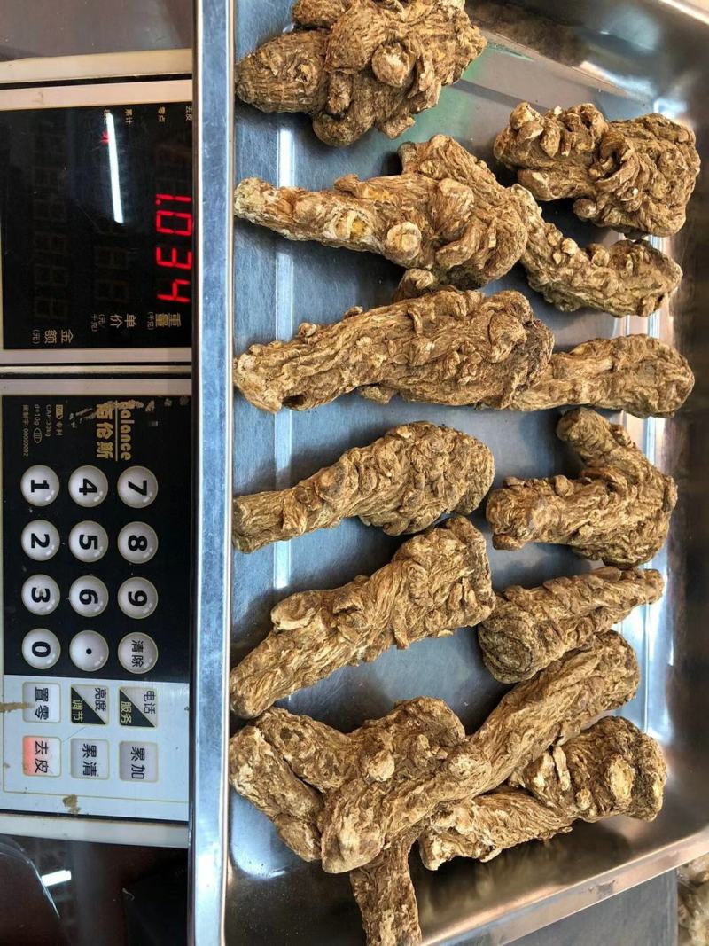 当归特级当归头1斤15个丽江特级当归头