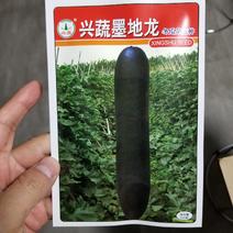 一代交配，湖南省蔬菜研究所出品，兴蔬墨地龙冬瓜种子