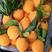 重庆脐橙奉节县长虹橙专业代办非赣南橙价格可谈。
