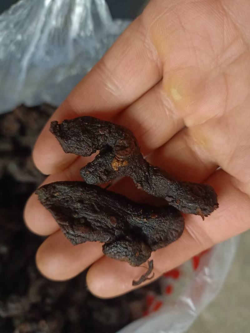黄精九制黄精
