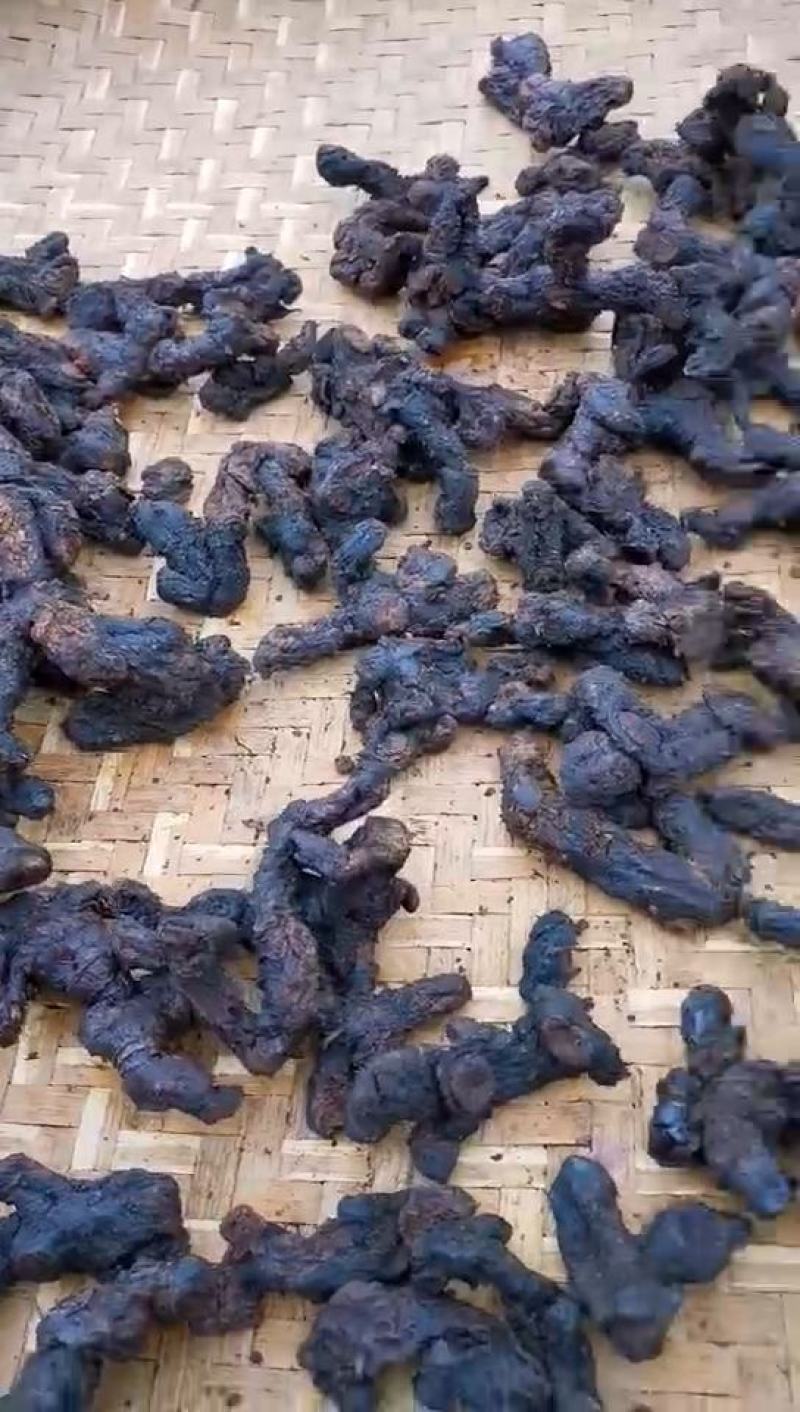 黄精九制黄精