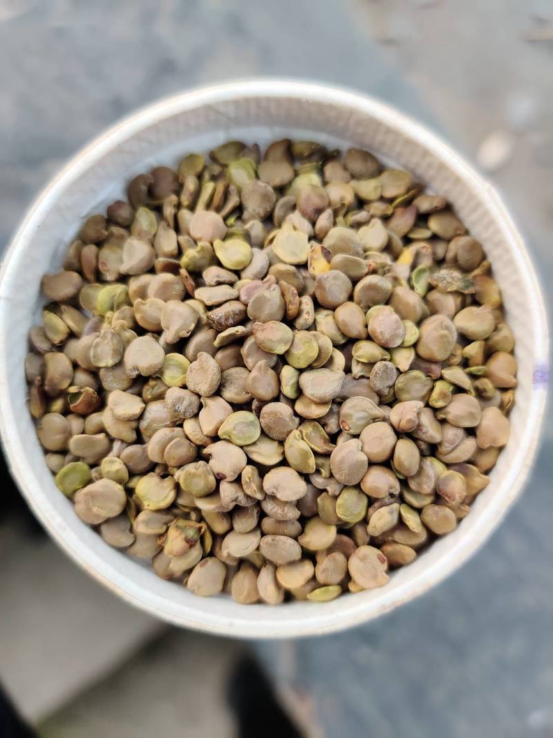 望江南望江南大货新货常年供应。