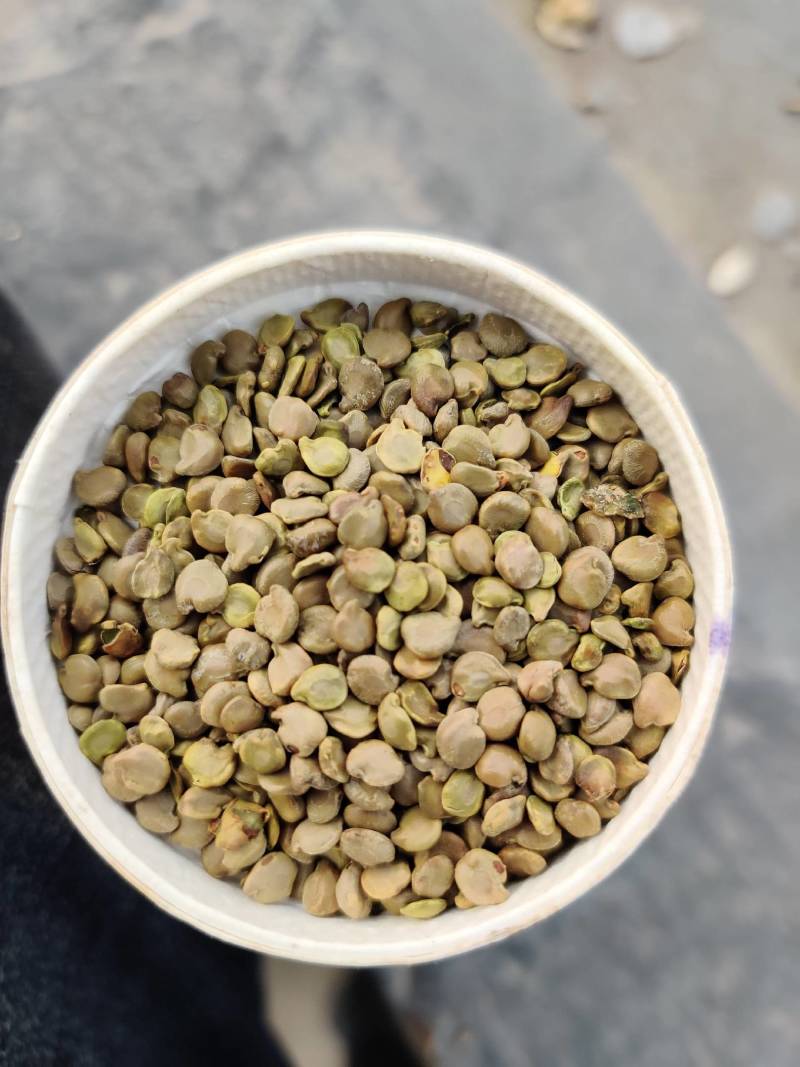 望江南望江南大货新货常年供应。