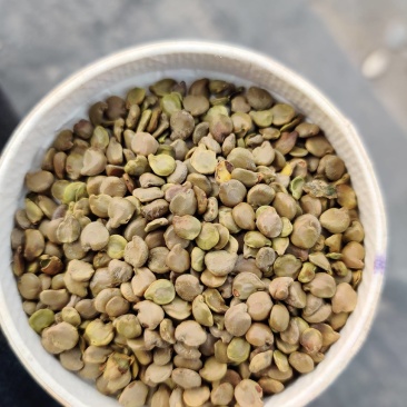 望江南望江南大货新货常年供应。