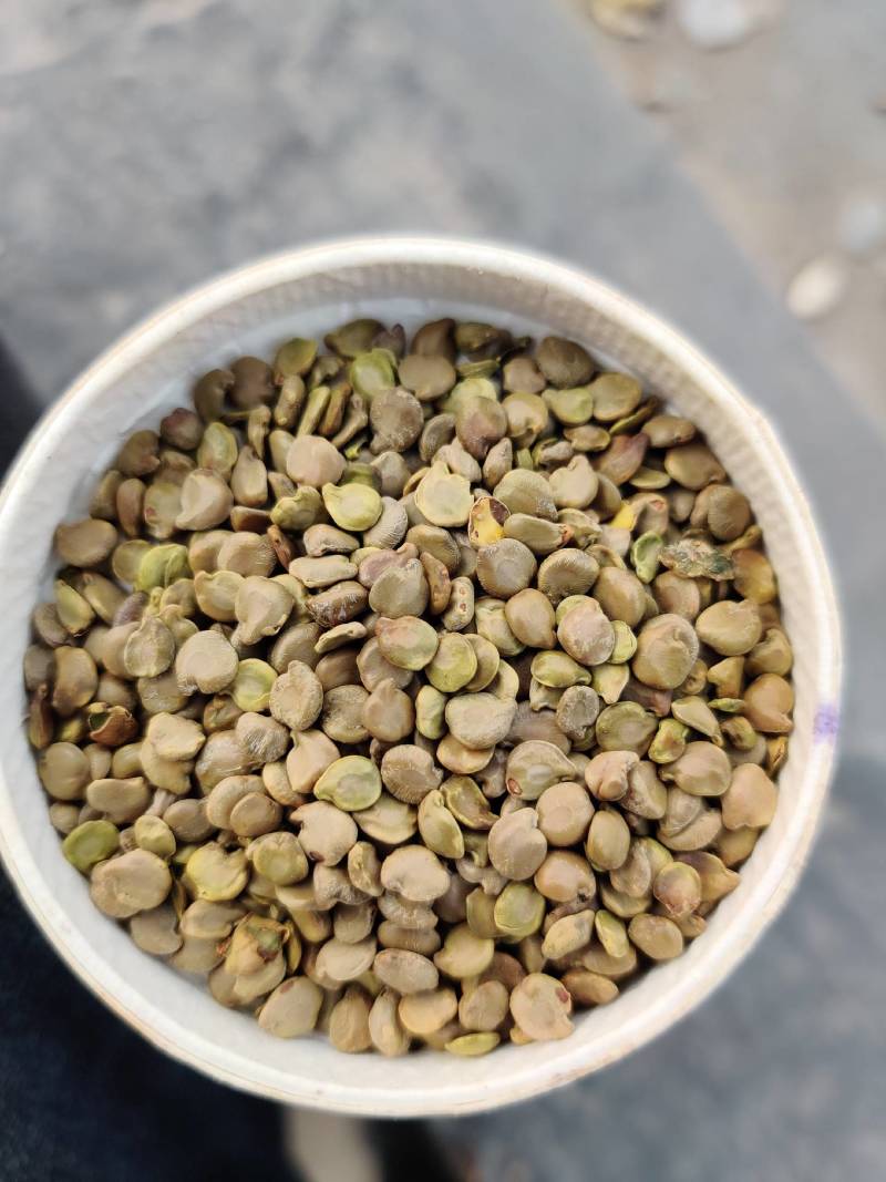 望江南望江南大货新货常年供应。