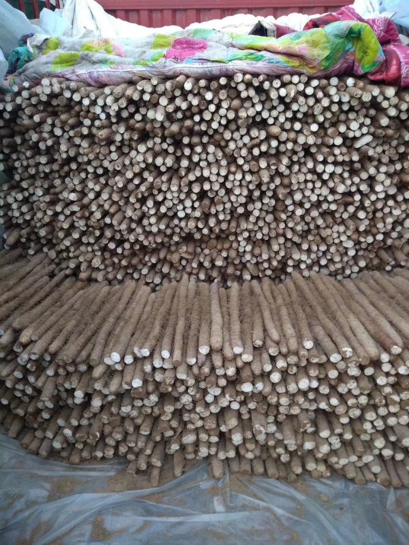 白玉山药3~4厘米一级通货40～70厘米