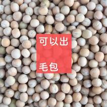 优质白豌豆青豌豆中豌六中豌九厂价供应