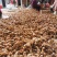 [热销榜推荐]恩施生姜姜母辛辣十足看货订货