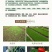 哈茨木霉菌防死棵抗烂苗抗后期枯萎消除真菌病
