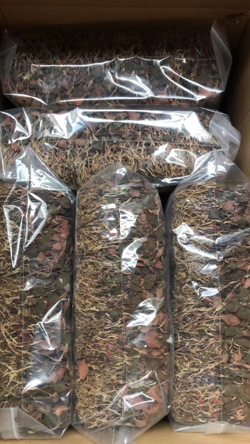 金线莲，台湾金线莲，长期有货，一手货源，可视频看货