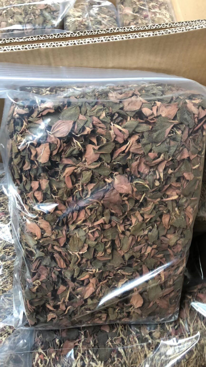 金线莲，台湾金线莲，长期有货，一手货源，可视频看货