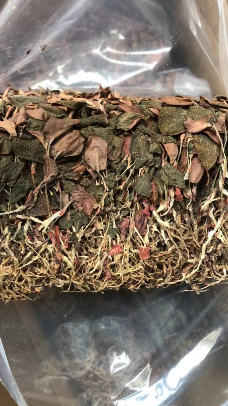 金线莲，台湾金线莲，长期有货，一手货源，可视频看货