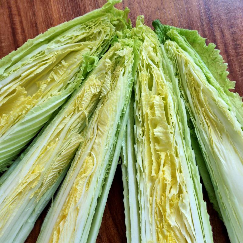 龙芽白菜大量供应，包尖白菜，全国批发，电商代发，落地配