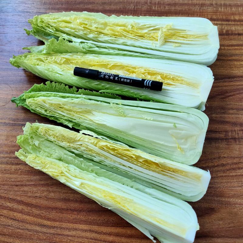 龙芽白菜大量供应，包尖白菜，全国批发，电商代发，落地配