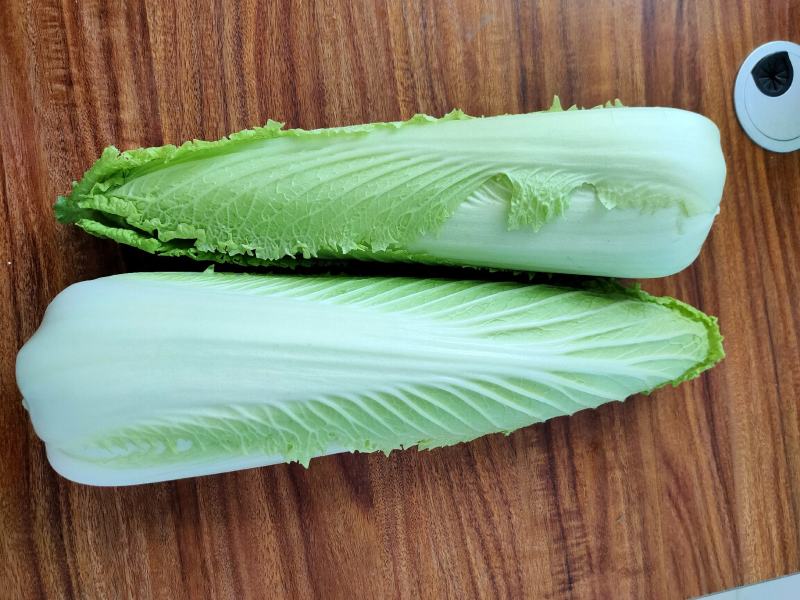 龙芽白菜大量供应，包尖白菜，全国批发，电商代发，落地配