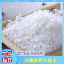 【活动打折】产地热销5斤东北五常大米珍珠米