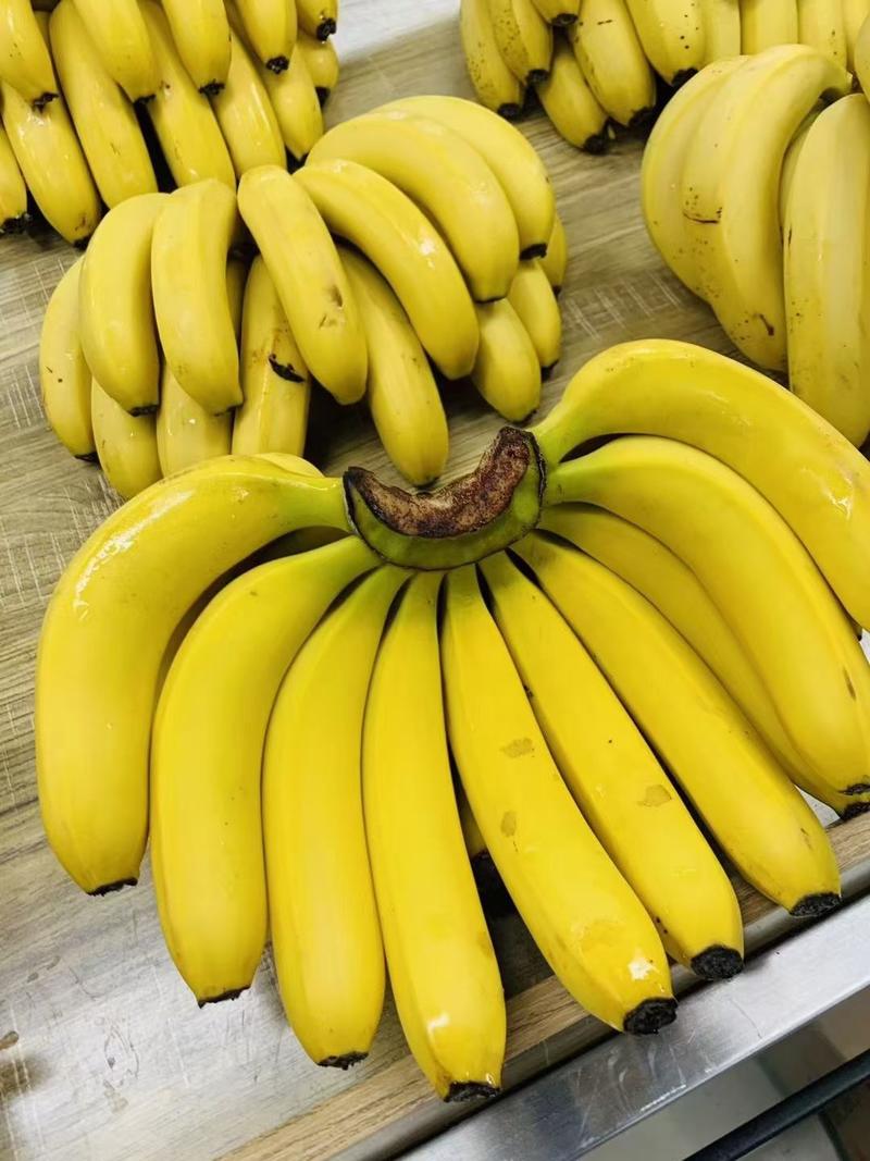 【热销】优质香蕉味道甜美量大有优惠批发