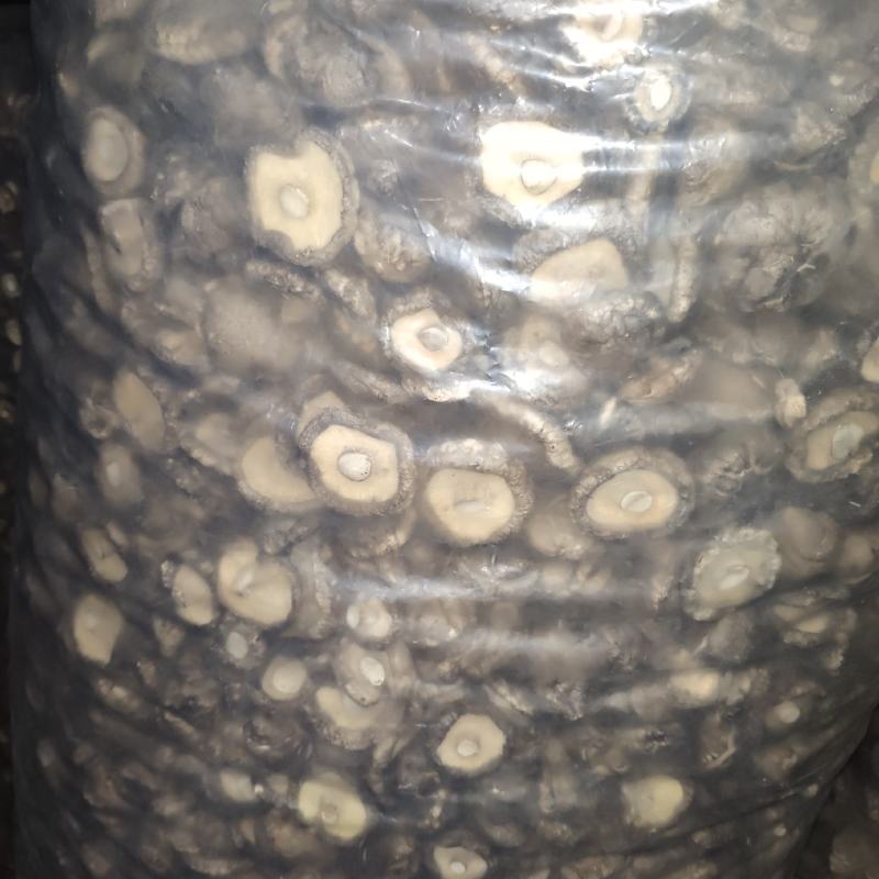 干香菇西峡香菇大量上市肉厚无根形状好产地直发