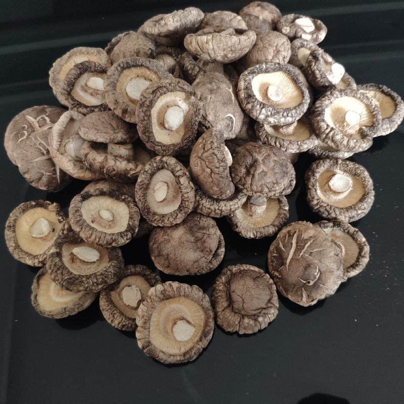 干香菇西峡香菇大量上市肉厚无根形状好产地直发