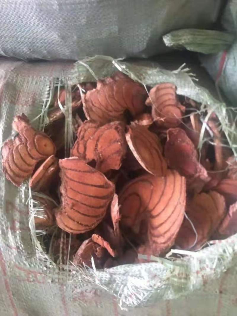 越南进口大片靓货鸡血藤货非常靓