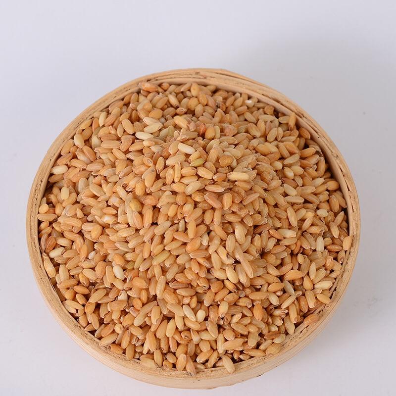 低温烘焙熟糙米五谷杂粮米胚芽米五谷杂粮饭米五谷磨粉料