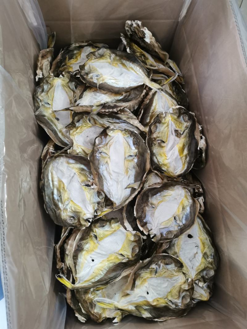 河豚鱼干，龟鱼干，新鲜海鱼干