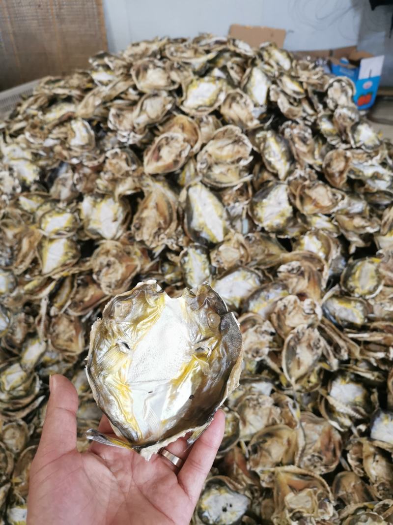 河豚鱼干，龟鱼干，新鲜海鱼干