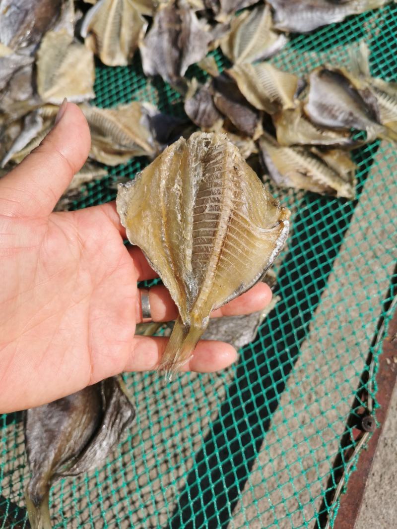 河豚鱼干，龟鱼干，新鲜海鱼干
