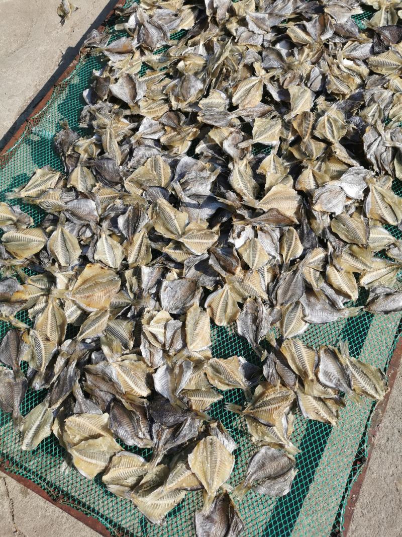 河豚鱼干，龟鱼干，新鲜海鱼干