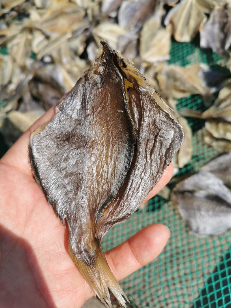 河豚鱼干，龟鱼干，新鲜海鱼干