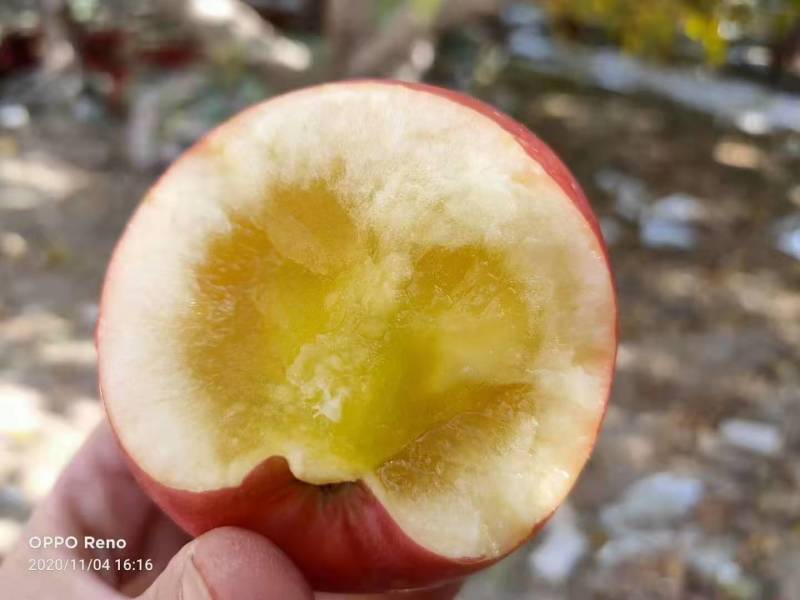 糖心苹果新疆阿克苏糖心苹果