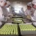 黑土奇芳玫瑰粘豆包礼盒装88元包邮1、有机种植的食用玫
