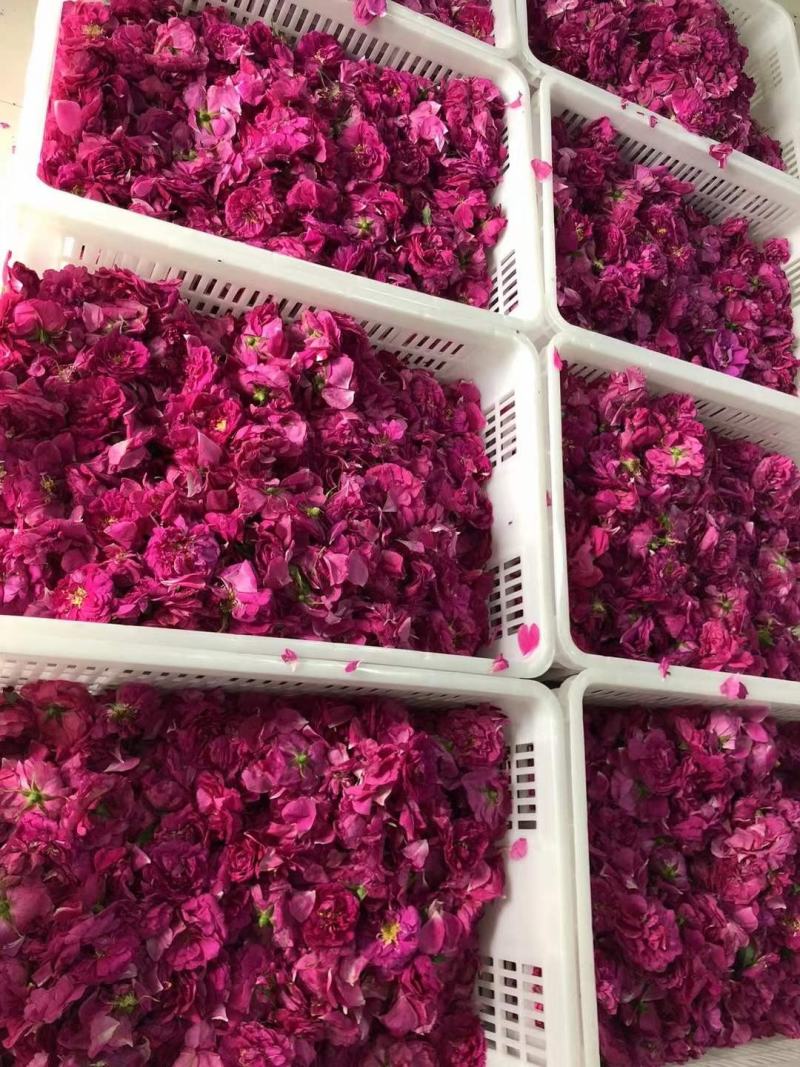 黑土奇芳玫瑰粘豆包礼盒装88元包邮1、有机种植的食用玫