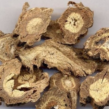 大山深处的优质独活片