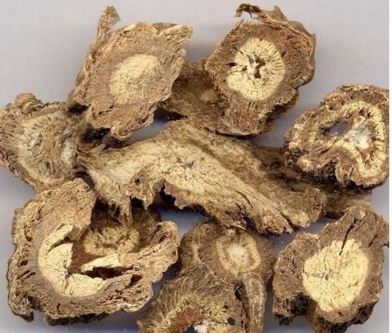 大山深处的优质独活片