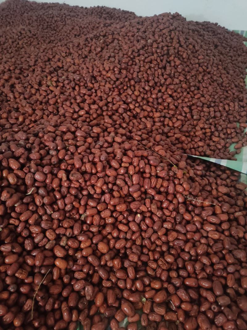 黄河滩红枣，皮薄肉厚口感好