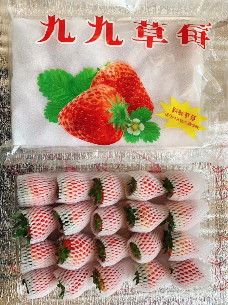 丹东东港牛奶草莓精品大果单果30克以上一件代发顺丰包邮