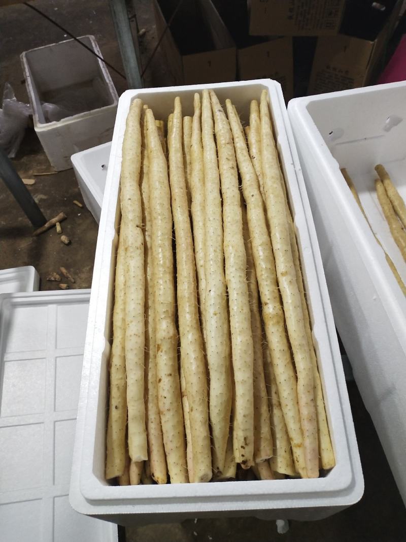 铁棍山药，紫药，河北铁棍。产地直发