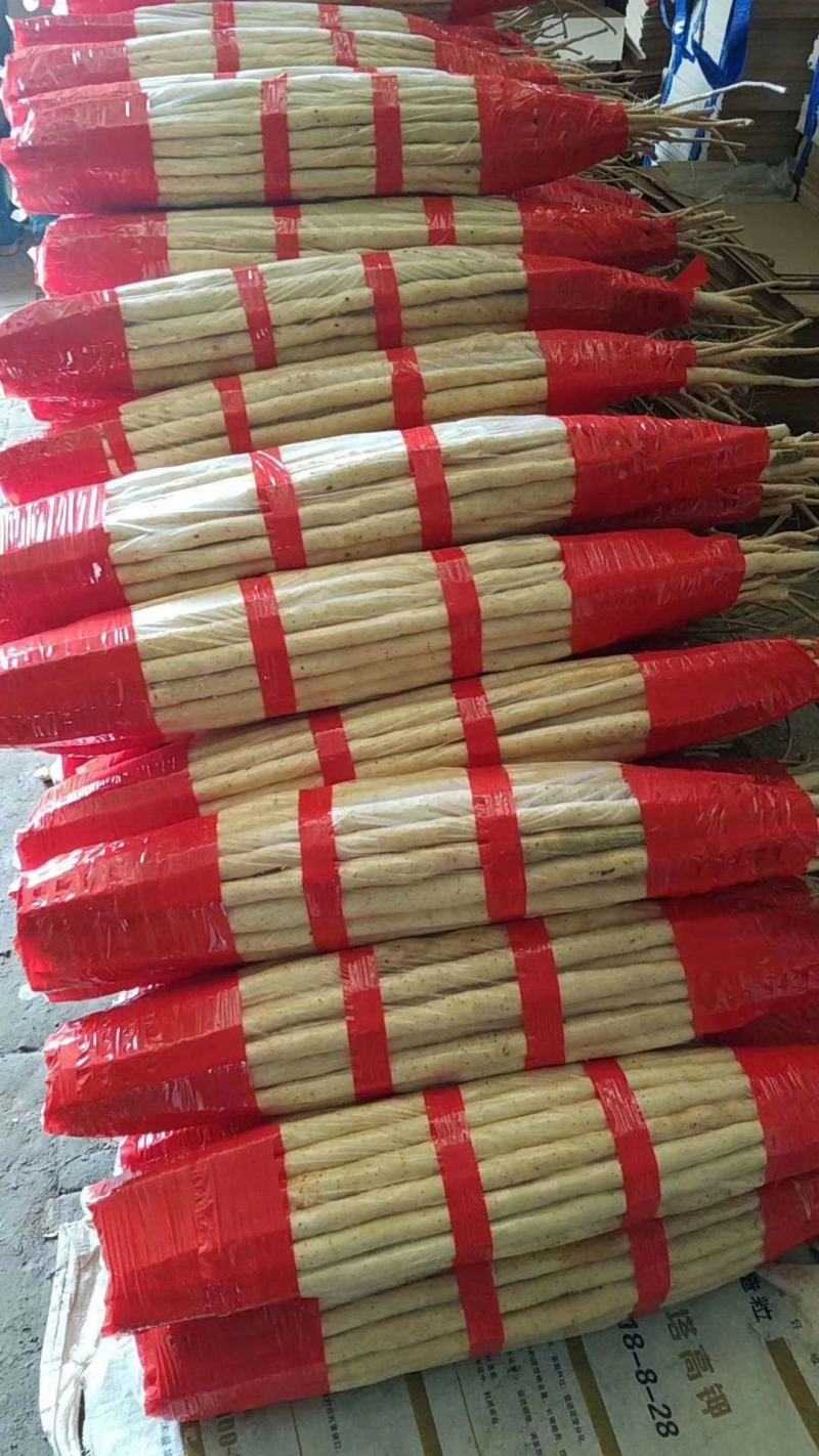 铁棍山药，紫药，河北铁棍。产地直发
