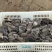 2025年10月9日新鲜出炉的平菇，干平菇，开始上市了