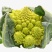 宝塔花椰菜塔花花菜绿花菜花椰菜法国花椰菜
